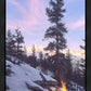 Firedance