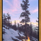 Firedance