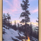 Firedance