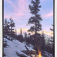 Firedance