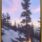 Firedance