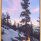 Firedance