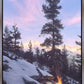 Firedance