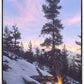 Firedance