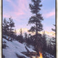 Firedance