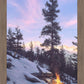 Firedance