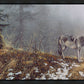 Silent Snows