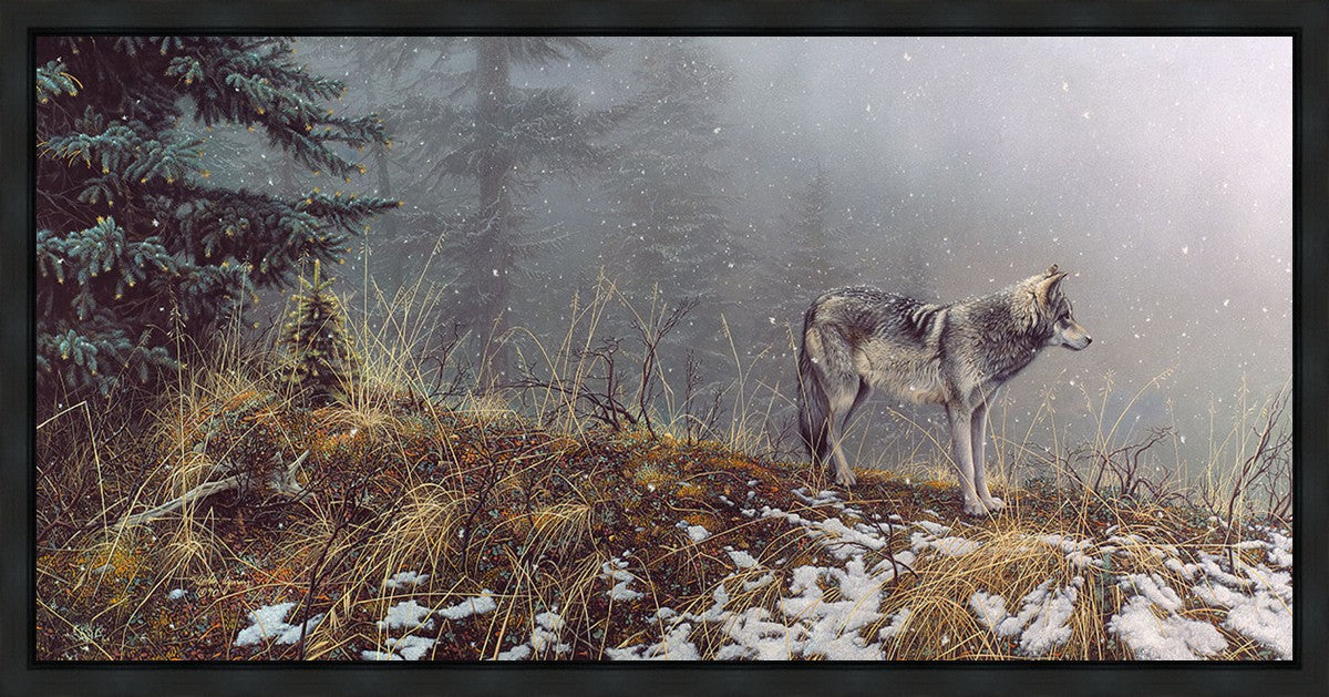 Silent Snows