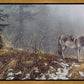 Silent Snows