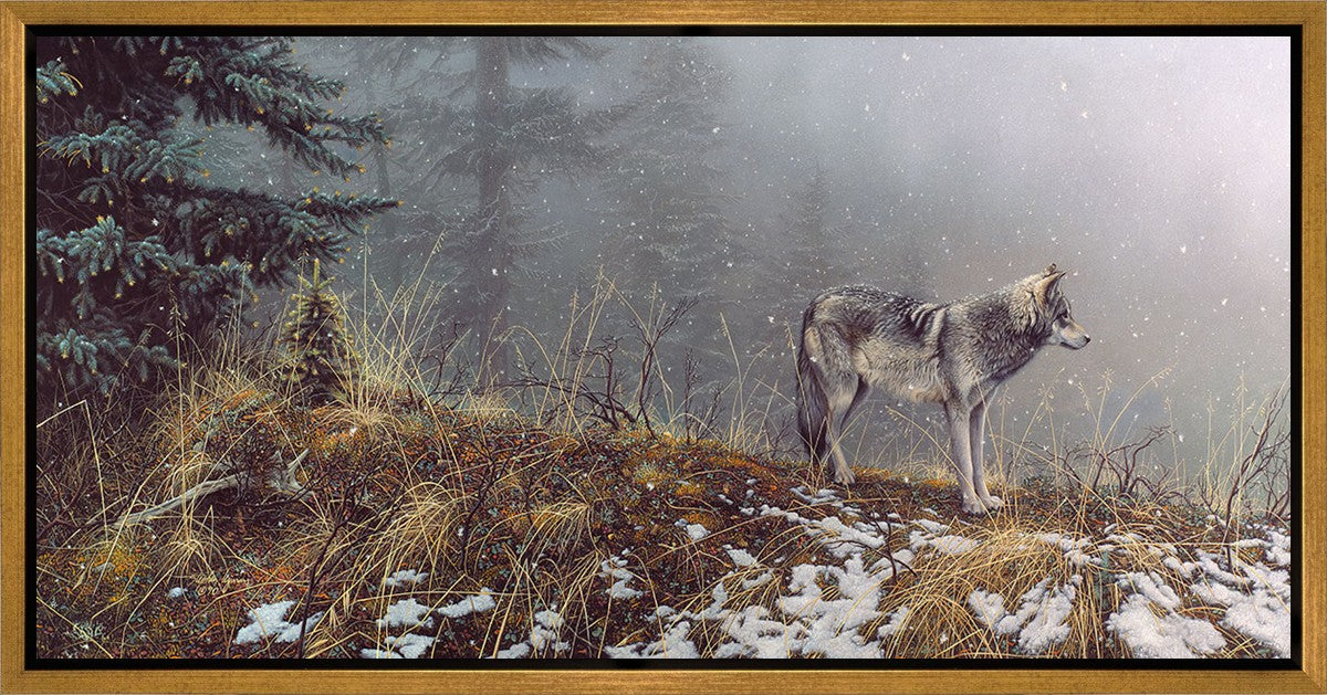 Silent Snows