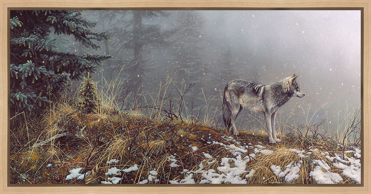Silent Snows