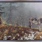 Silent Snows