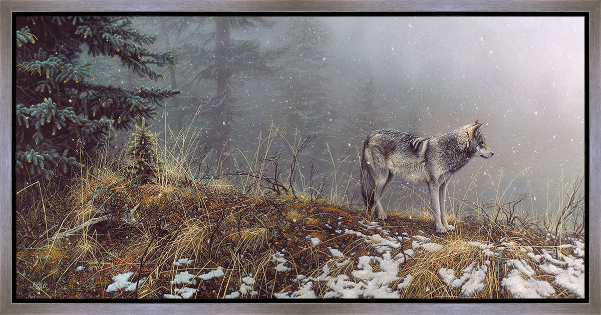 Silent Snows