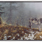 Silent Snows