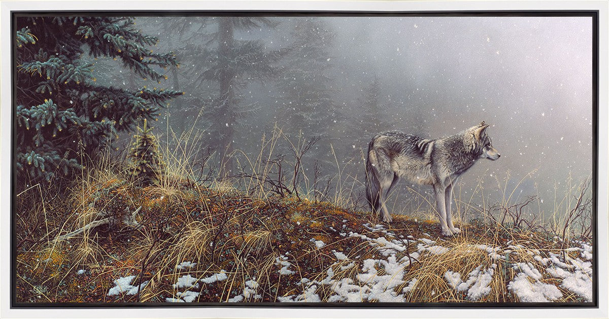 Silent Snows