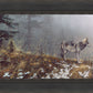 Silent Snows