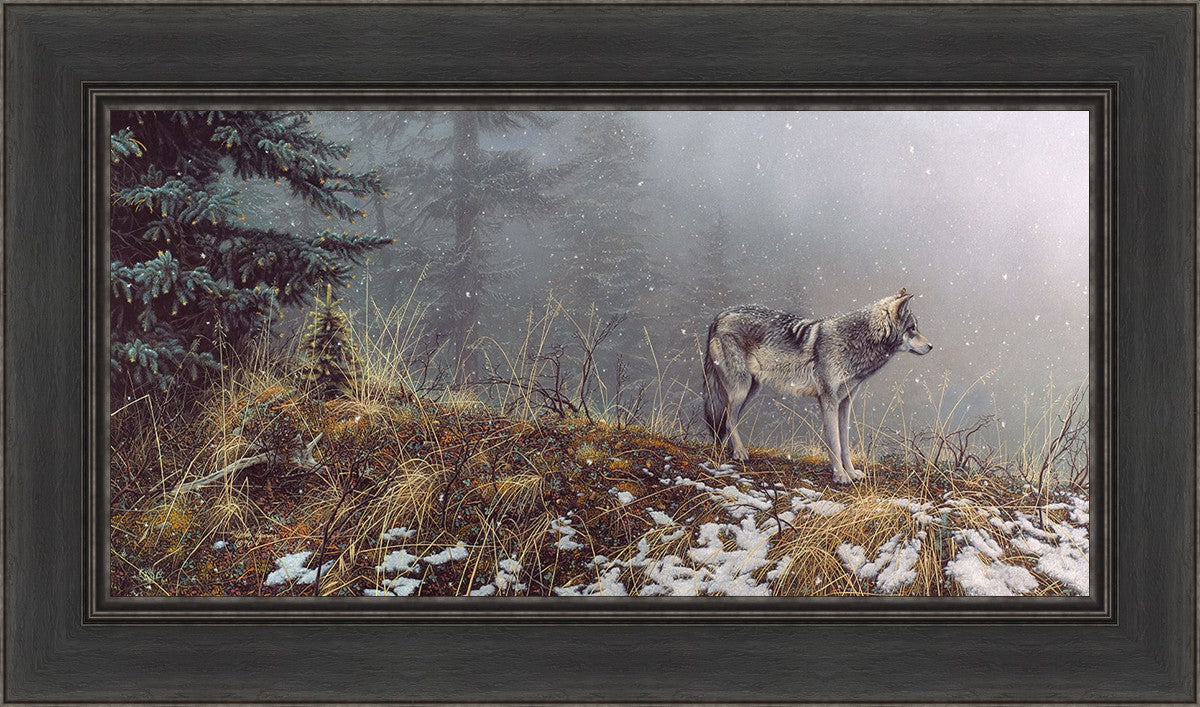 Silent Snows