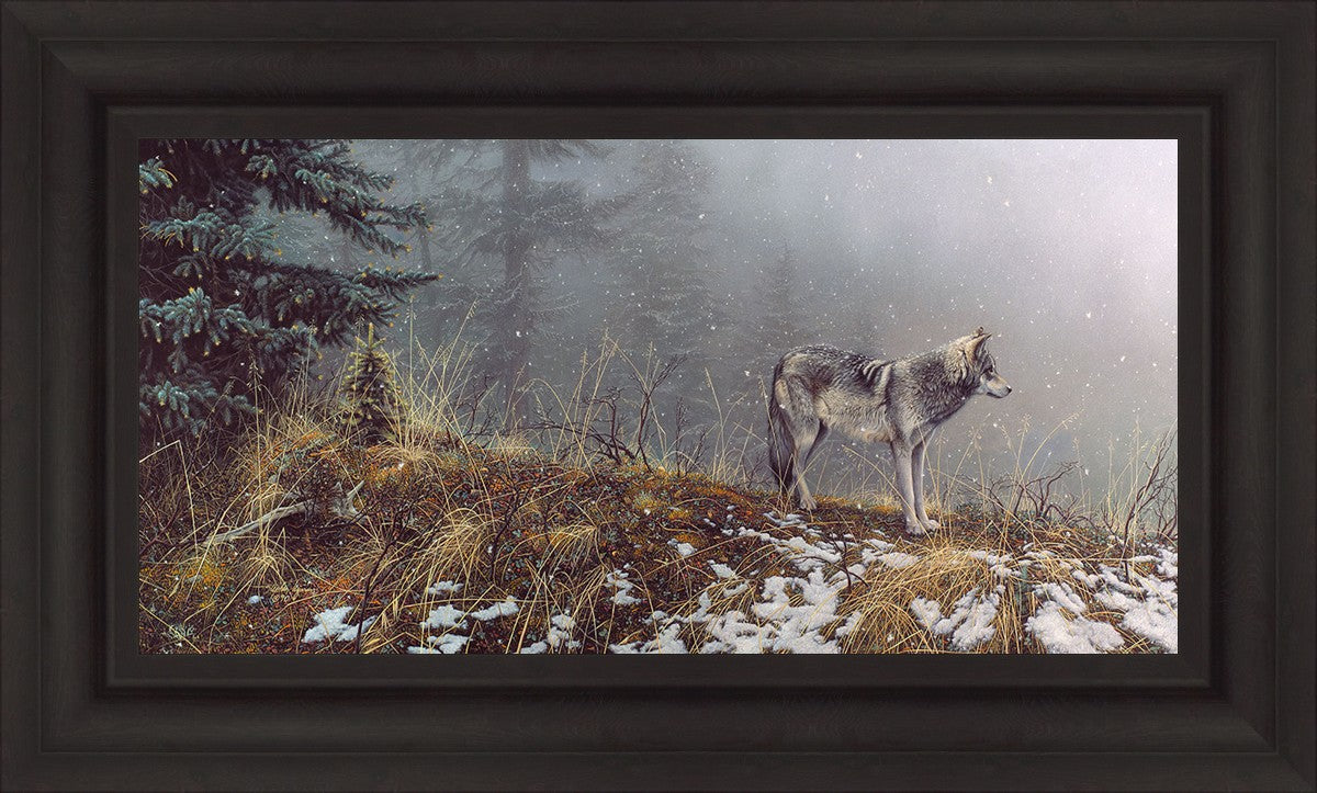 Silent Snows