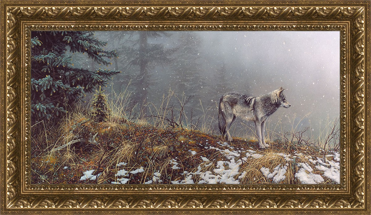 Silent Snows