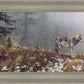 Silent Snows