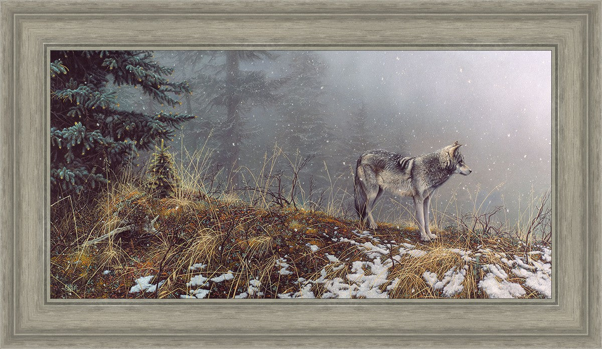 Silent Snows