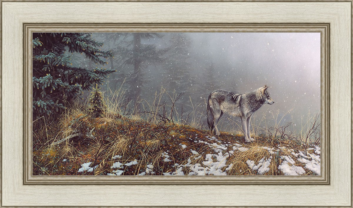 Silent Snows