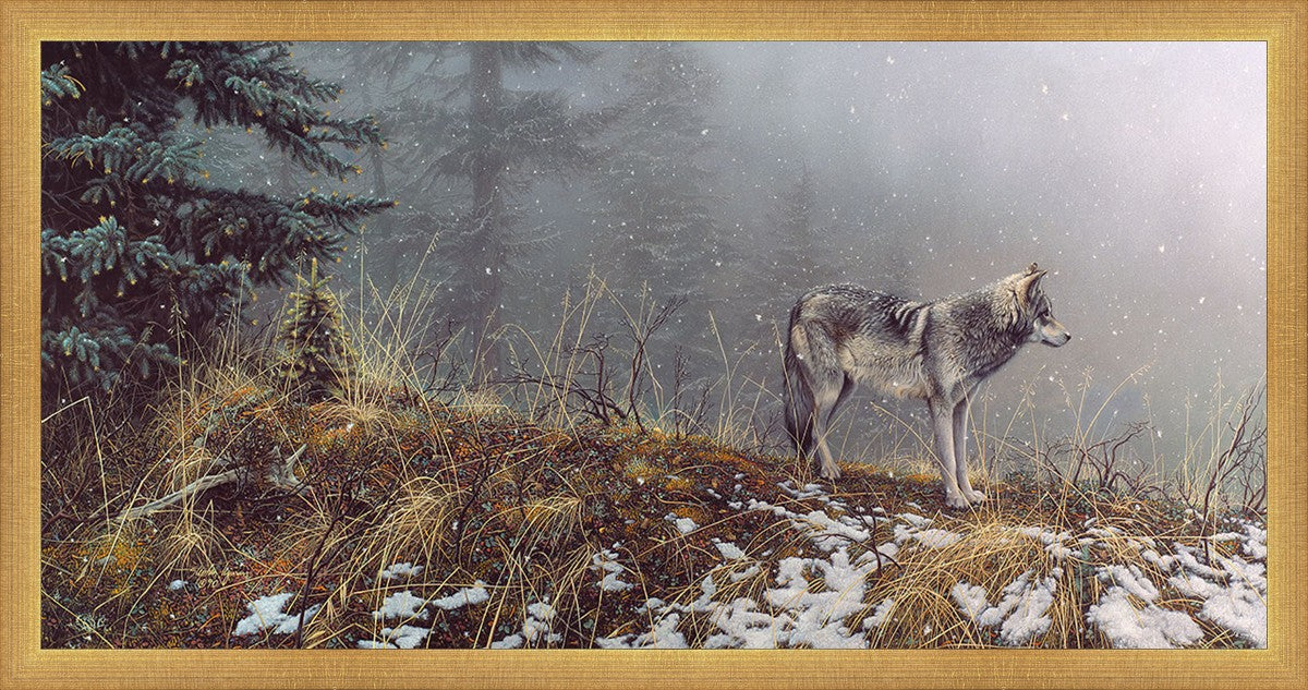 Silent Snows