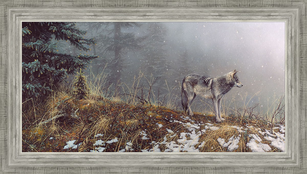 Silent Snows