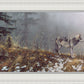 Silent Snows