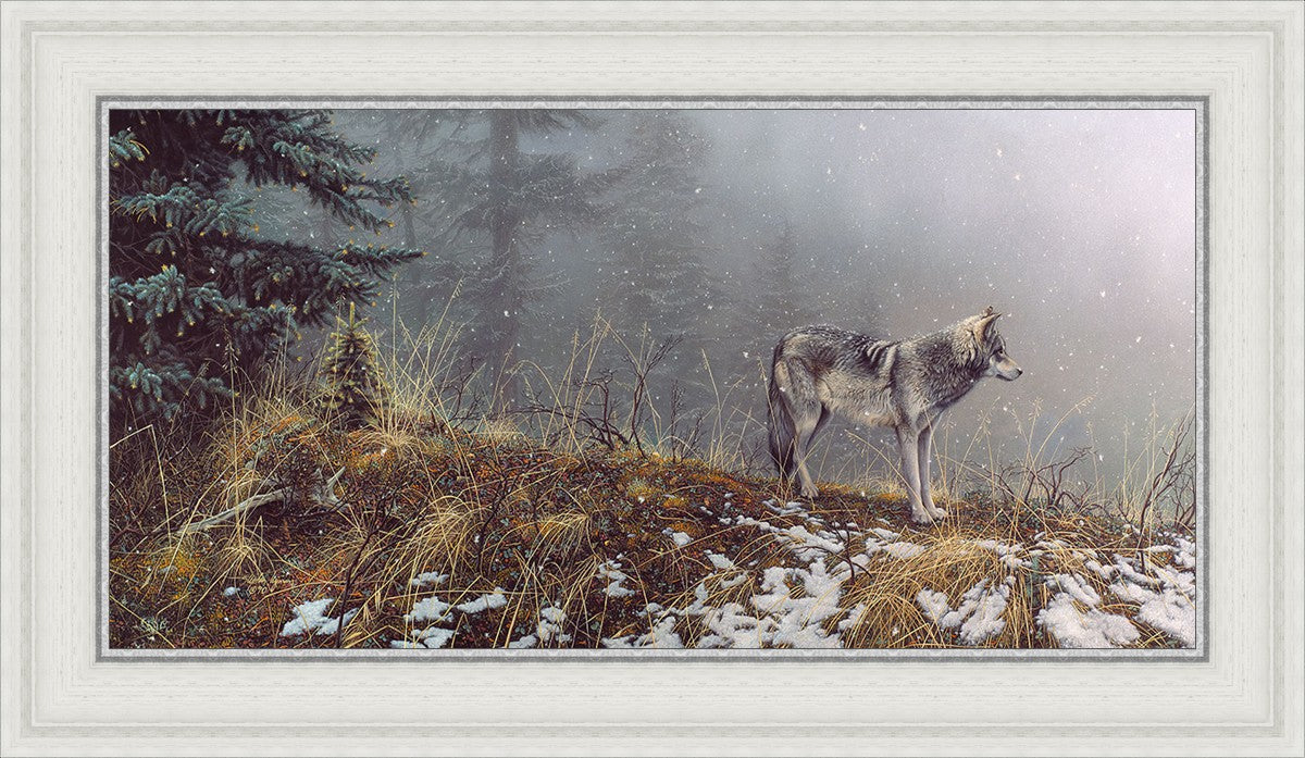 Silent Snows