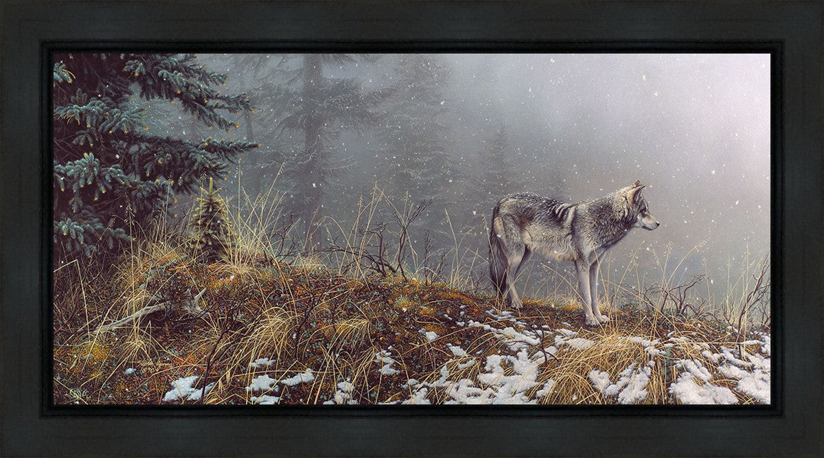 Silent Snows