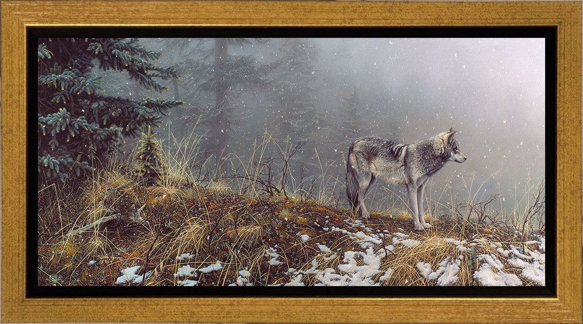Silent Snows