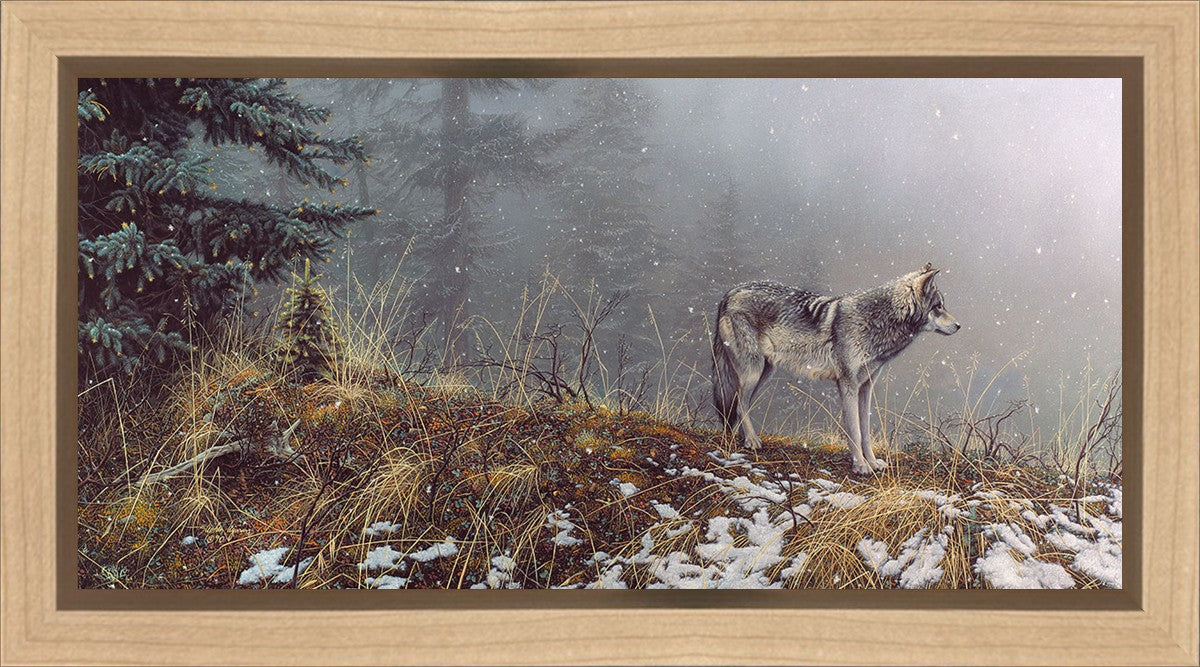 Silent Snows
