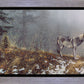 Silent Snows