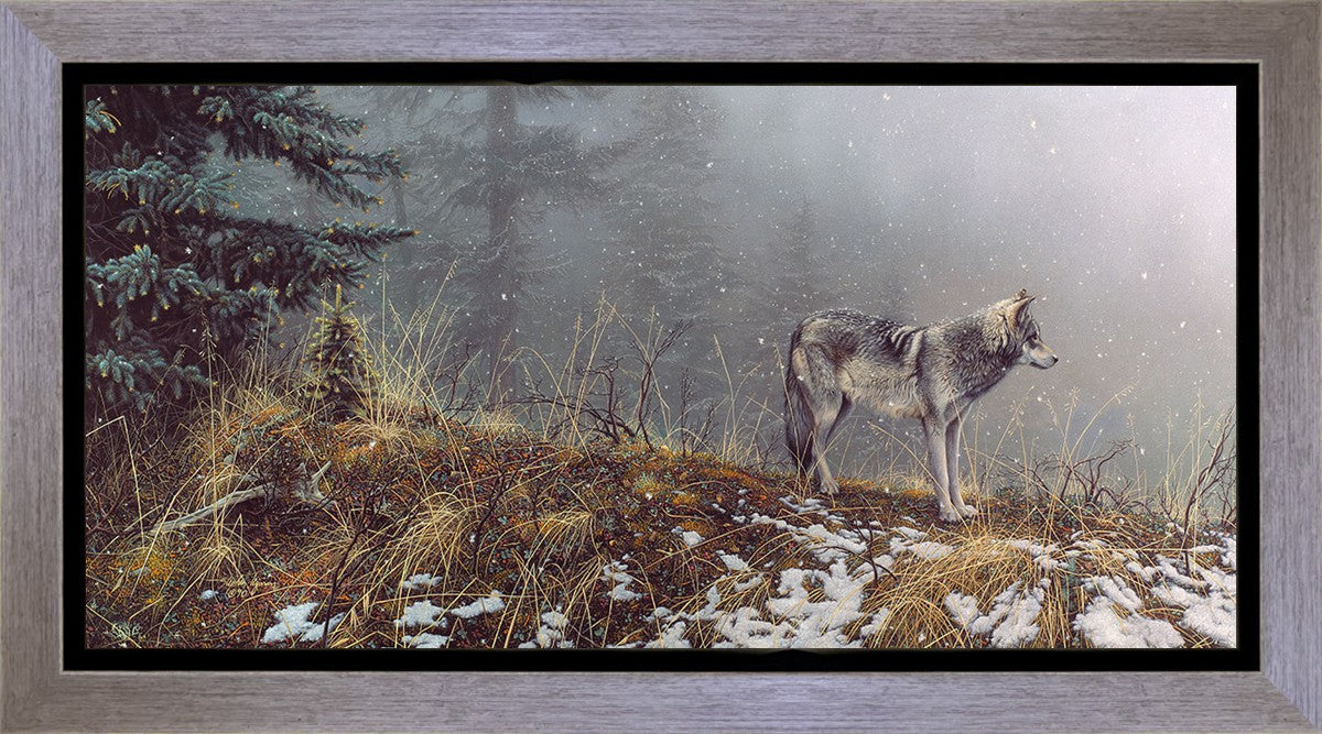 Silent Snows