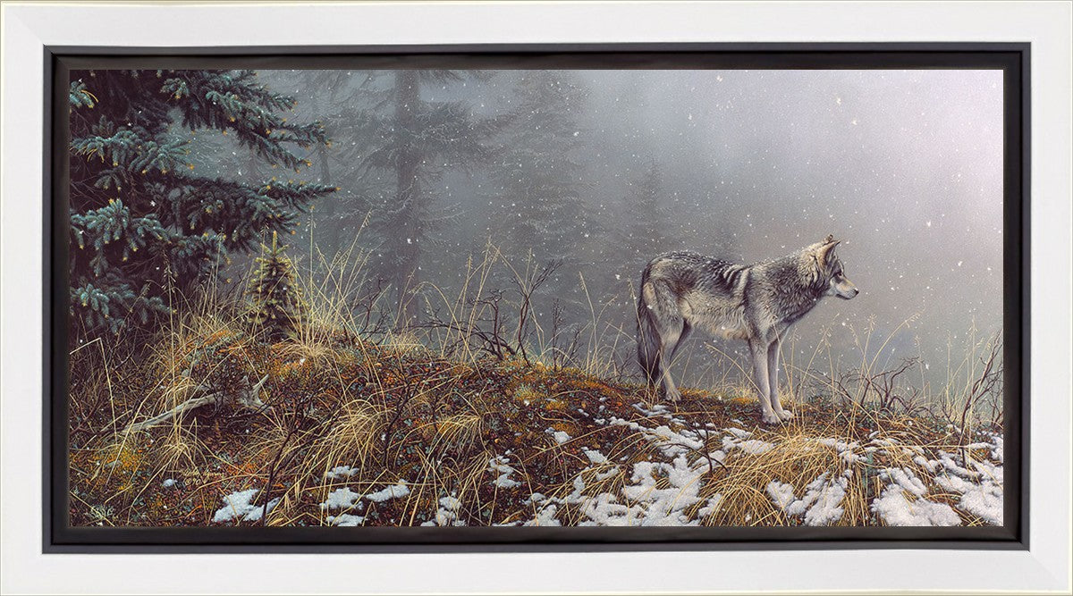 Silent Snows