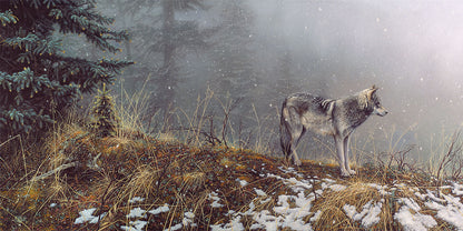 Silent Snows