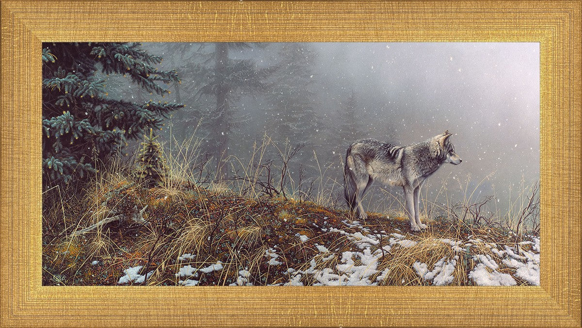 Silent Snows