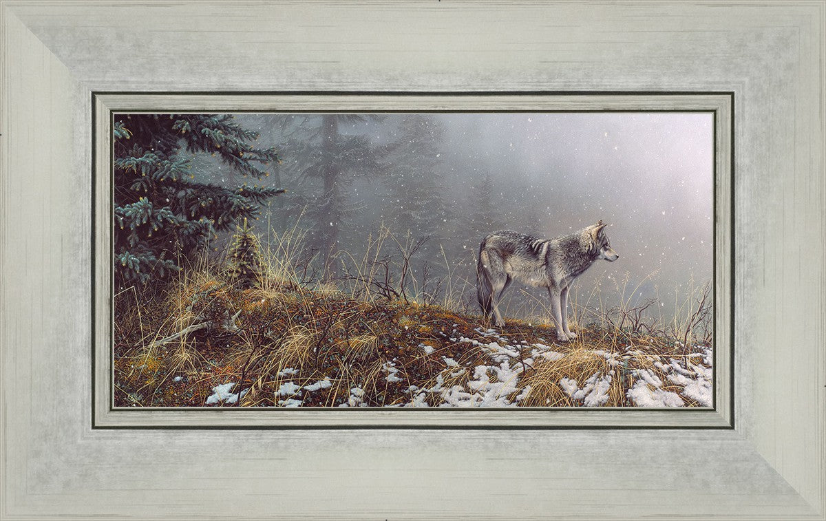 Silent Snows