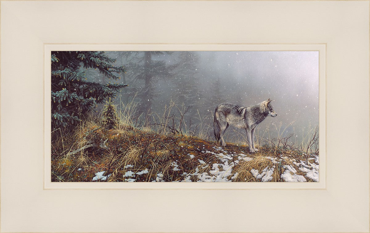 Silent Snows