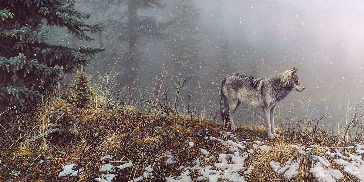 Silent Snows