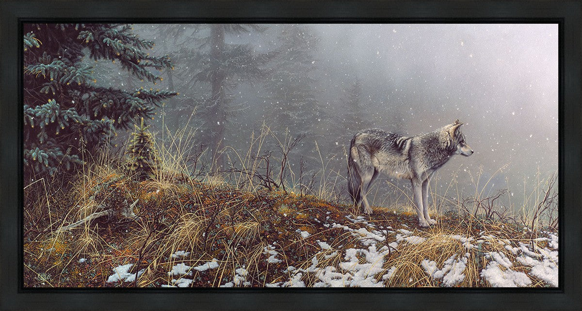 Silent Snows