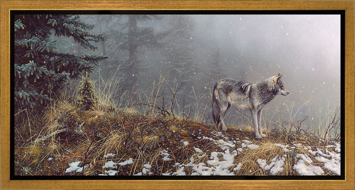 Silent Snows