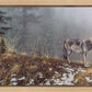 Silent Snows