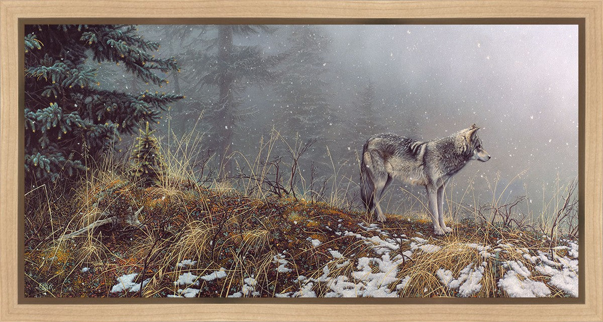 Silent Snows