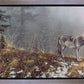 Silent Snows