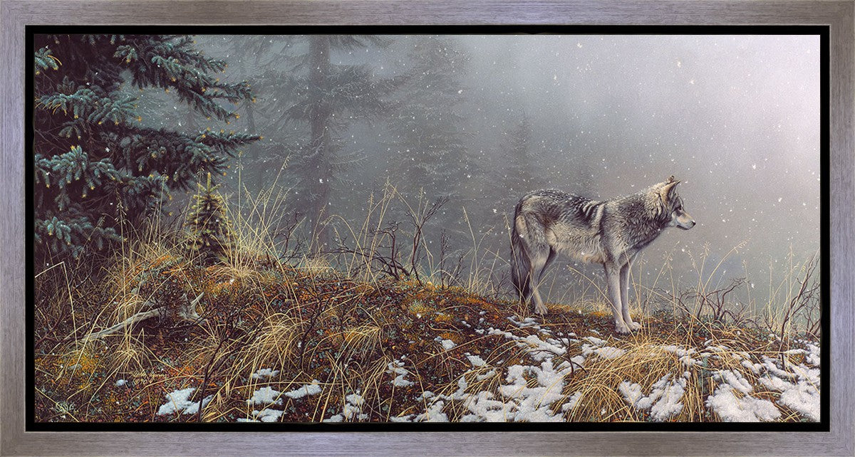 Silent Snows