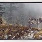 Silent Snows
