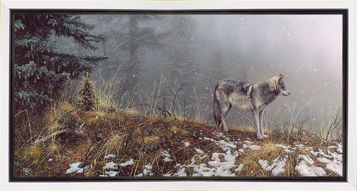 Silent Snows