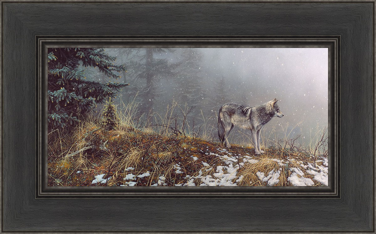 Silent Snows